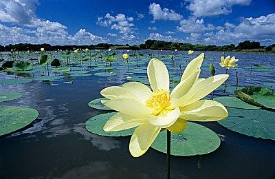 《黑暗之魂3》大型Mod远古王座预告 3月15日发Demo