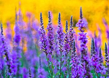 曝索尼2024年还有未公布的单人游戏阵容