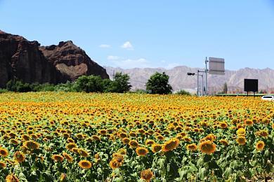 《机械战警》和《遗迹2》现支持FSR 3.0帧生成技术